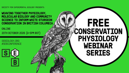 Weaving_together_physiology-WEBINAR_OCT_26.jpg