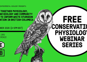 Weaving_together_physiology-WEBINAR_OCT_26.jpg