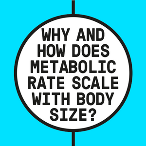 why-how-metabolic-logo-500px colored.png