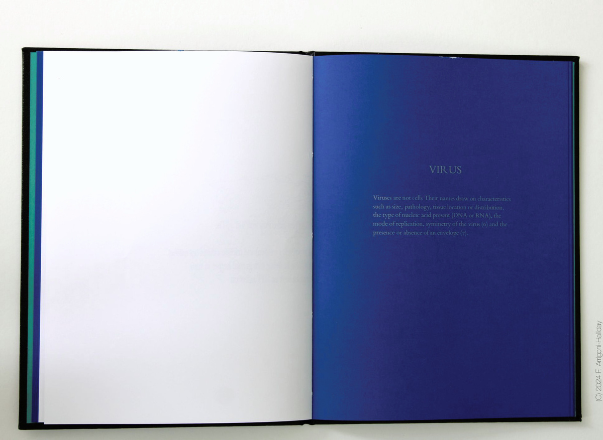 Blue Pages 11