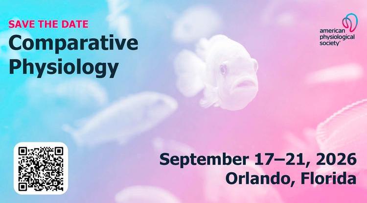 Comparative Promo Slide.jpg 1