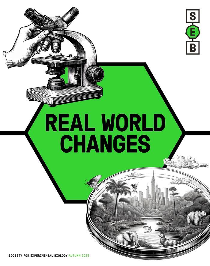 SEB Magazine autumn 25 - Cover.jpg