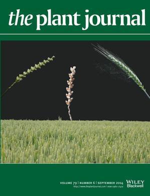 Plant Journal.jpeg