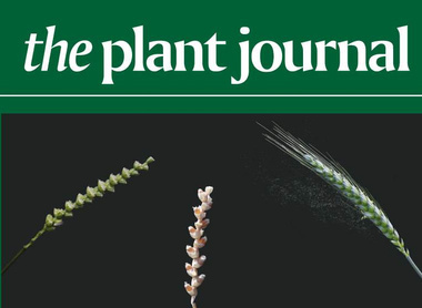 Plant Journal.jpeg